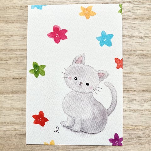 透明水彩画「お花と猫ちゃん」」イラストポストカード２枚セット ねこ　ネコ　春　花 　バースデーカード　メッセージカード