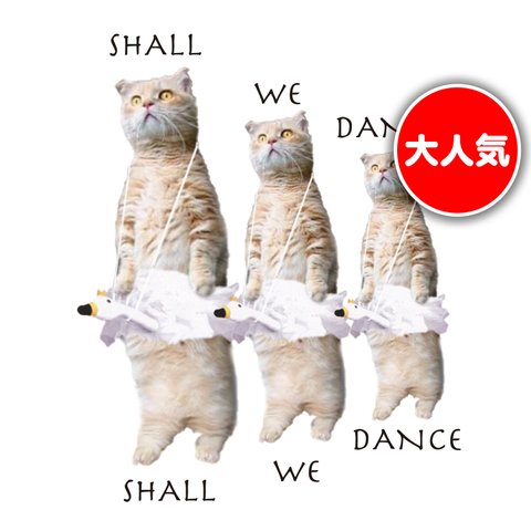 オシャレおもしろTシャツ「SHALL WE DANCE」【Tシャツ(半袖)】