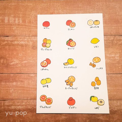 選べる3枚セット♪ ポストカード 26ｰ甘酸っぱい 柑橘 果実