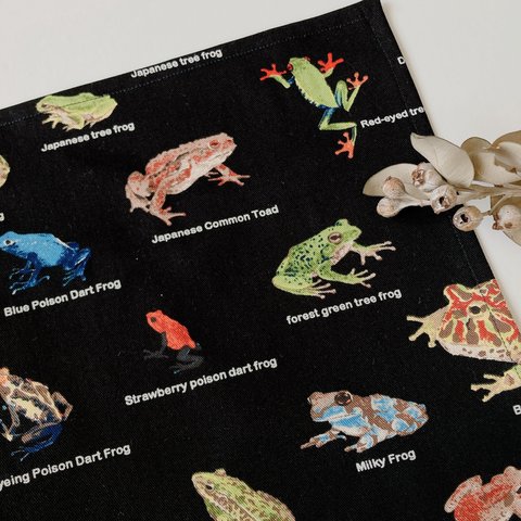 ランチョンマット　ランチマット　給食マット　　男の子　女の子　動物　カエル　蛙　かえる図鑑