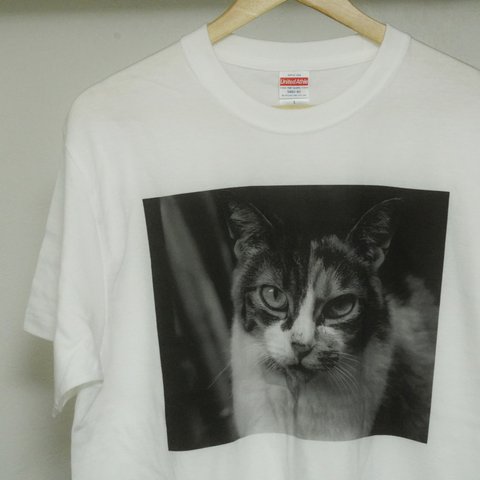 街ねこ どアップTシャツ(Mサイズ)