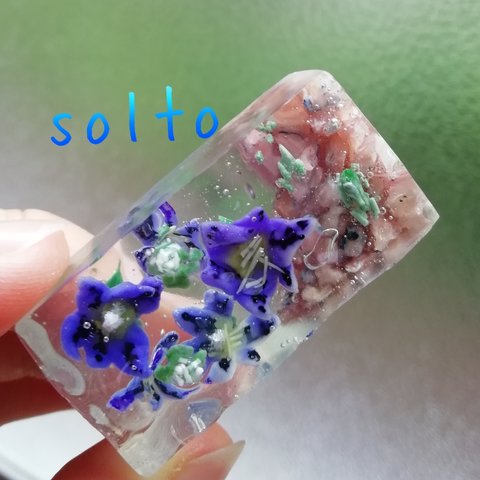 紫の花と小魚の群れ