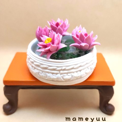 ミニチュア  睡蓮鉢   大サイズ   (お花ピンク)