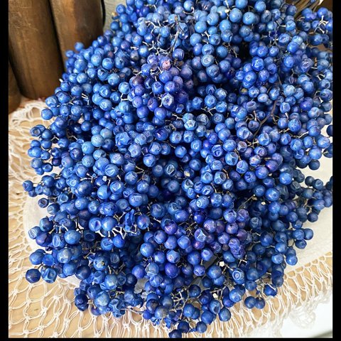 ブルーパープルバイカラー色❣️ペッパーベリー小分け❣️ハンドメイド花材カラードライフラワー