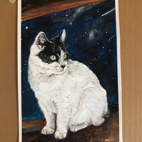 原画　星を見る猫　