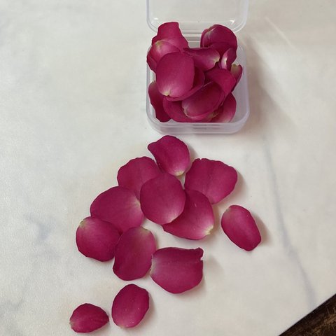 【ドライフラワー】　バラ　ピンク　花びら　25枚