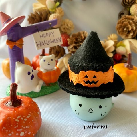 ハロウィン🎃ペット用❤︎フェルト帽子