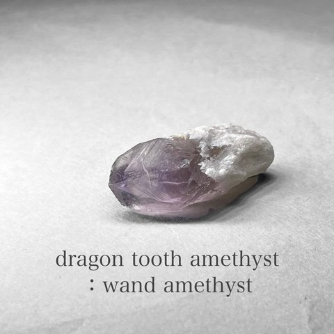 dragon tooth ( wand ) amethyst / ブラジル産ドラゴントゥース ( ワンド )アメジスト S
