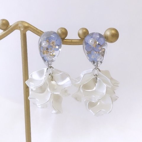 わすれな草と花びらフリルのイヤリング/ピアス［本物のお花　勿忘草　忘れな草　白　ホワイト　水色　青　ライトブルー　レジン 結婚式　ウェディング］