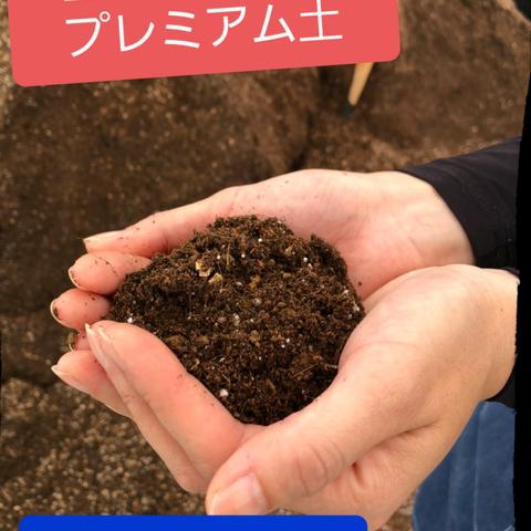 送料無料‼️生産者が使う　プレミアム　10リットル土　観葉植物　多肉植物