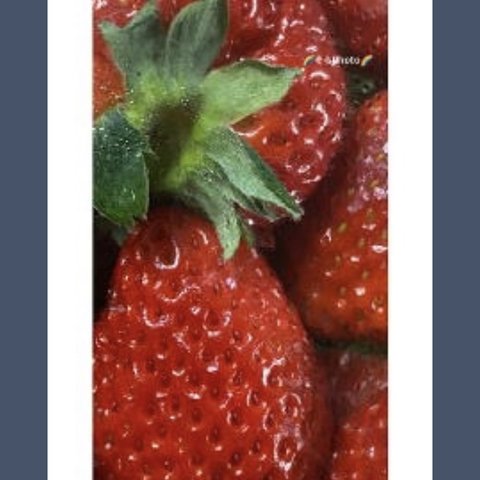 果物2  ポストカード( イチゴの写真 )
