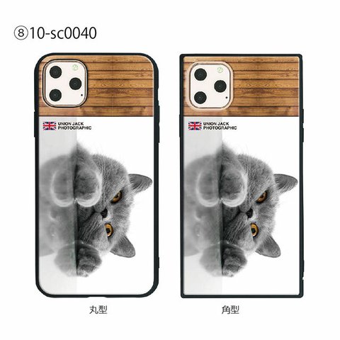 ガラス保護フィルム付 iPhone 11 Pro Max ケース 【CAT】