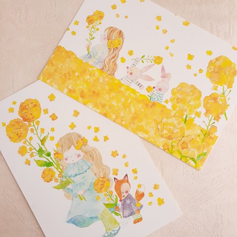【再販】菜の花のポストカード　　二枚セット