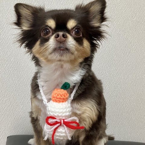 犬用＆猫用  鏡餅ネックレス お散歩 お出かけ インスタ映え お正月