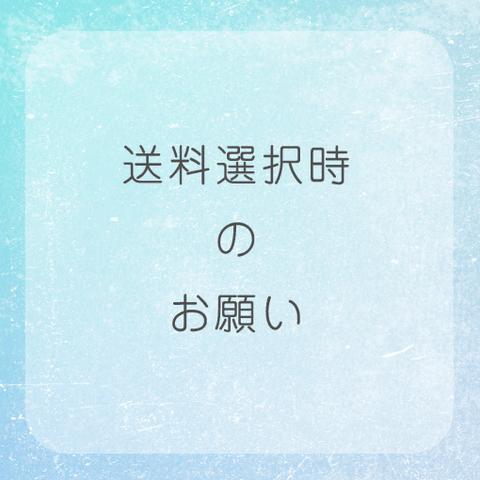 送料選択時のお願い