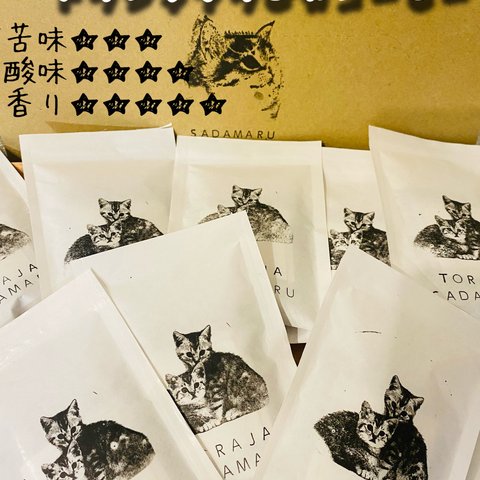 【⚠️送料無料】自家焙煎珈琲インドネシアトラジャドリップバック10袋