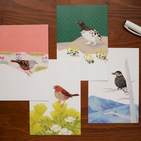 高山の野鳥のポストカードセット（4枚入）