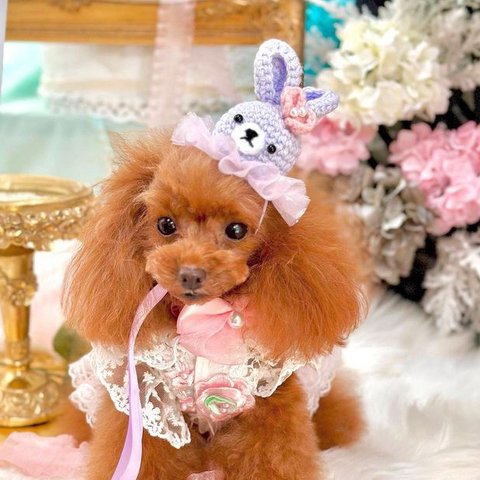 犬 うさぎ 帽子 パープル ♡ 干支 お正月 イースター バニー 猫 ペット かぶりもの 被り物 フリル レース リボン 誕生日 うちの子記念日 冠 バースデー ニット ニット帽