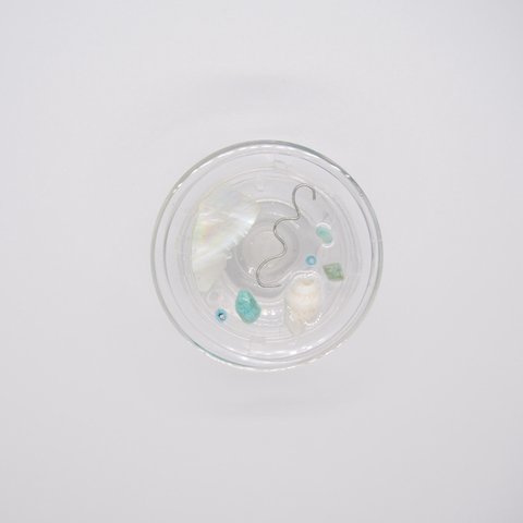 【 スマホグリップ グリップトック 】透明感のある ターコイズ 貝殻