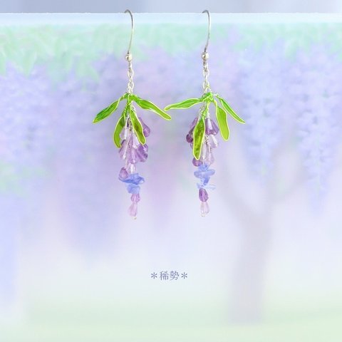  藤の花 藤 ピアス（イヤリング ）春 天然石 * ○o｡..:* 宝石質 アメジスト タンザナイト シャンデリア ディップアート 和 鉱物 マニキュアフラワー 涼しげ 