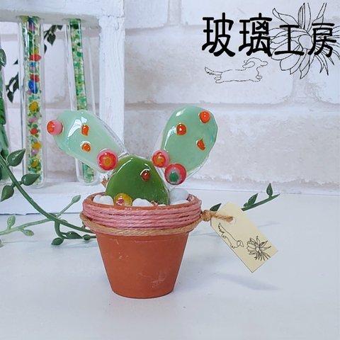 ミニサボテン　多肉植物　サボテン　ミニ鉢　ガラス　インテリア　グリーン　2