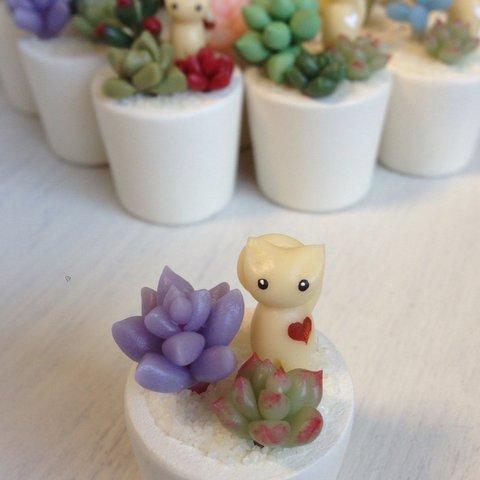 ぷっくり多肉植物と猫ちゃんの寄せ植え