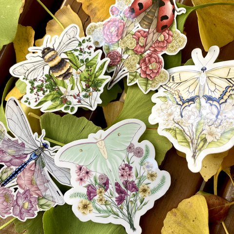 Insect Flower Bouquet Sticker Set (５ piece) - 花と虫のブーケシールセット(５枚）