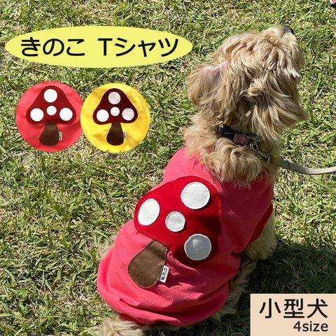 きのこTシャツ（小型犬用）★わにぽ★