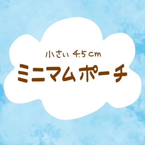 ミニマムシリーズ★キーホルダー★クリアポーチ★PVC★ジュエリー★リング★ピアス★アクセサリー★小銭★ピック★4.5cm×4.5cm★500円玉★