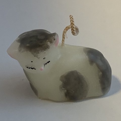 小さな幸せを運ぶ猫candle