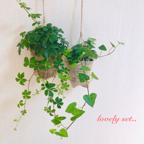 【再販】lovelyセット『シュガーバイン&ハートアイビー』麻布　壁掛け　観葉植物　インテリア