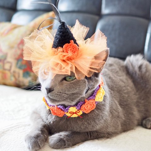 【猫用 帽子】ハロウィン魔女帽子