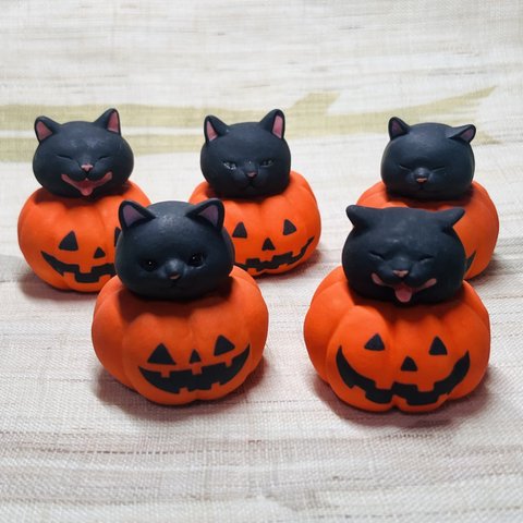 カボチャ猫の置物🎃☺️