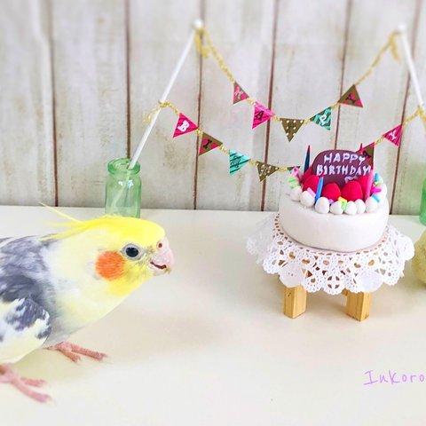 オカメインコ　バースデーカード　3枚セット①