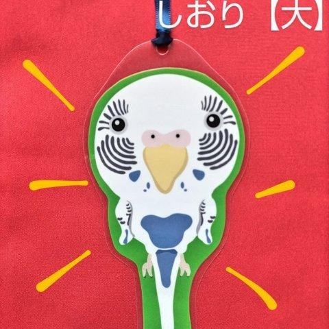 しおり【大】／セキセイインコ５