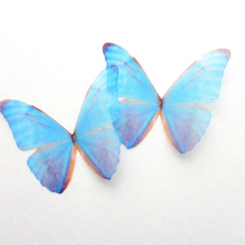 ちょうちょのパーツ 5cm シフォン オーガンジー 素材  蝶々 パーツ 青い蝶 ブルー モルフォ  モルフォ蝶 20