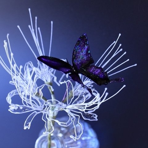 紫 蝶 彼岸花  かんざし 曼珠沙華 ～純白クリア～ 着物 和装 日本