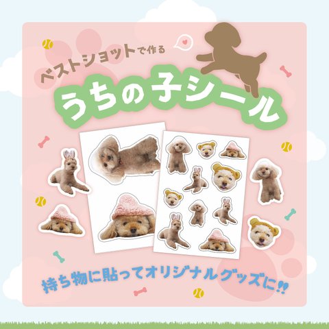 ♡わんちゃんのベストショットを使ったうちの子シール♡