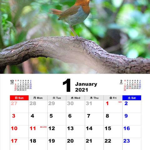 （シャッフル可）2021年卓上カレンダー野鳥その６