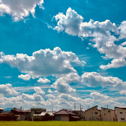 夏の空