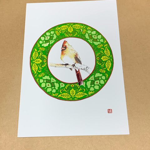 028. 小鳥イラスト　グリーン2　 色鉛筆画  A4サイズ   little bird