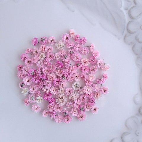 ドライフラワー376素材花材　かすみ草のセット　花材　ピンク　白　