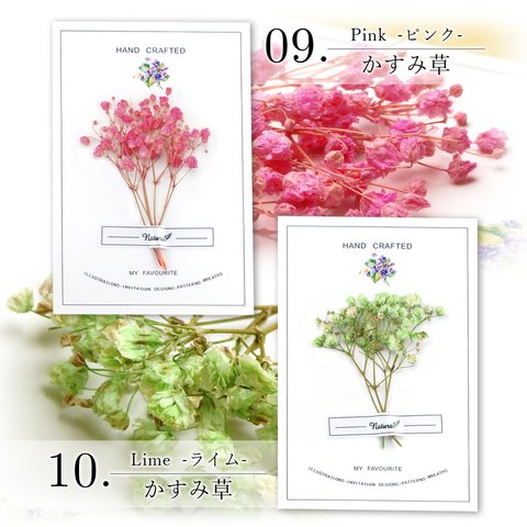 10 かすみ草　ライム【ドライフラワー Bouquet-ブーケ-】ネイル・レジン封入・ガラスドーム・ハーバリウムに