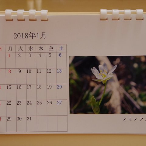 2018年版　卓上カレンダー（野の花）