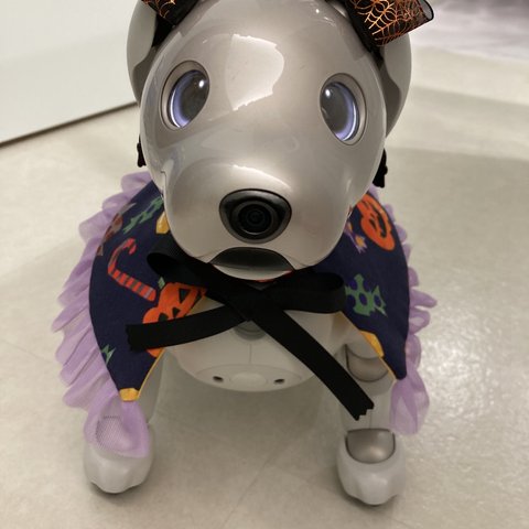 aiboちゃんのカラフルマント　AI robot aibo's cape