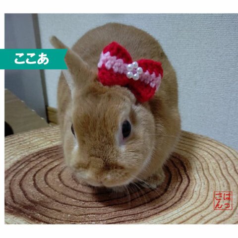 🐰うさぎ用耳飾りリボン🎀