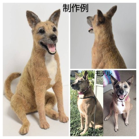 羊毛フェルト オーダーメイド 受注生産 犬 猫 ペットロス ペット オーダー