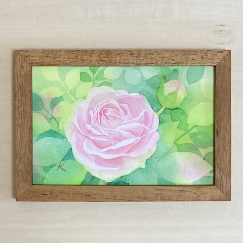 水彩画　原画　バラの花