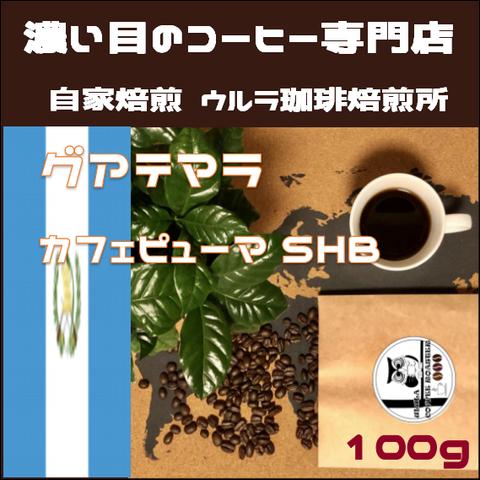 【自家焙煎コーヒー豆】グアテマラ カフェピューマ100g