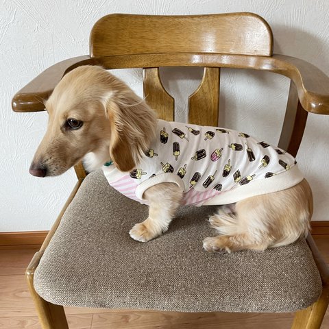 アイス柄にいちごアイスが隠れてる　ミニチュアダックス服　ロングLサイズ　タンクトップ　ペットウエア　愛犬服　ペット服　わんこ服　犬服　犬の服　アイスキャンディー